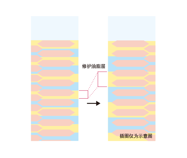 B.A 宝丽碧艾乳液| 生命之美，绽放新肌潜能。POLA B.A第6代，诞生 